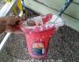 Monday’s Simple Cleverness: Handy Paint Pail