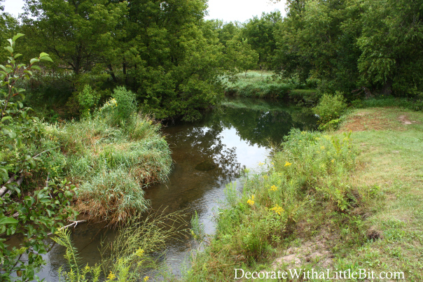 DecorateWithaLittleBit.com summer river during a drought