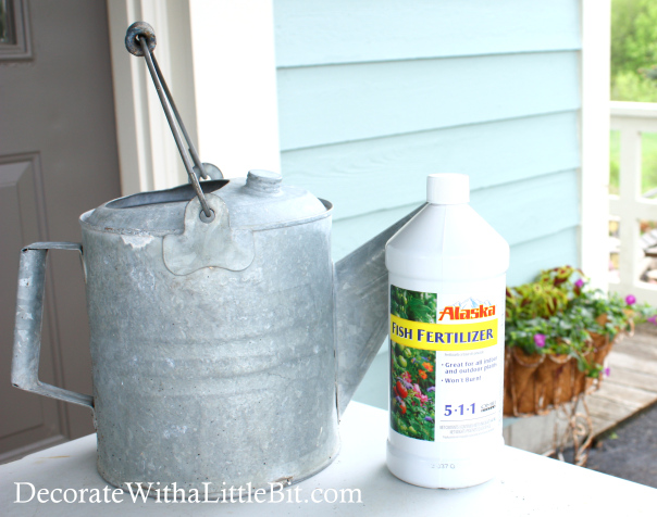 DecorateWithaLittleBit.com watering can with alaska fish fertilizer