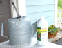 Alaska Fish Fertilizer and Another $25 American Express Card Giveaway!