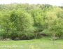 Our House… A Year in the Life of a River