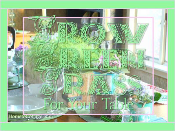 HometoCottage.com Grow Green Grass For Your Table