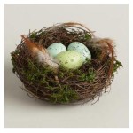 1worldmarket nest